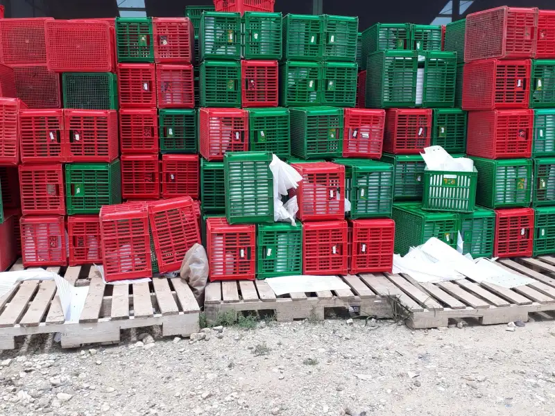 食堂托管模式对比：综合承包与后厨人员派驻管理的差异分析