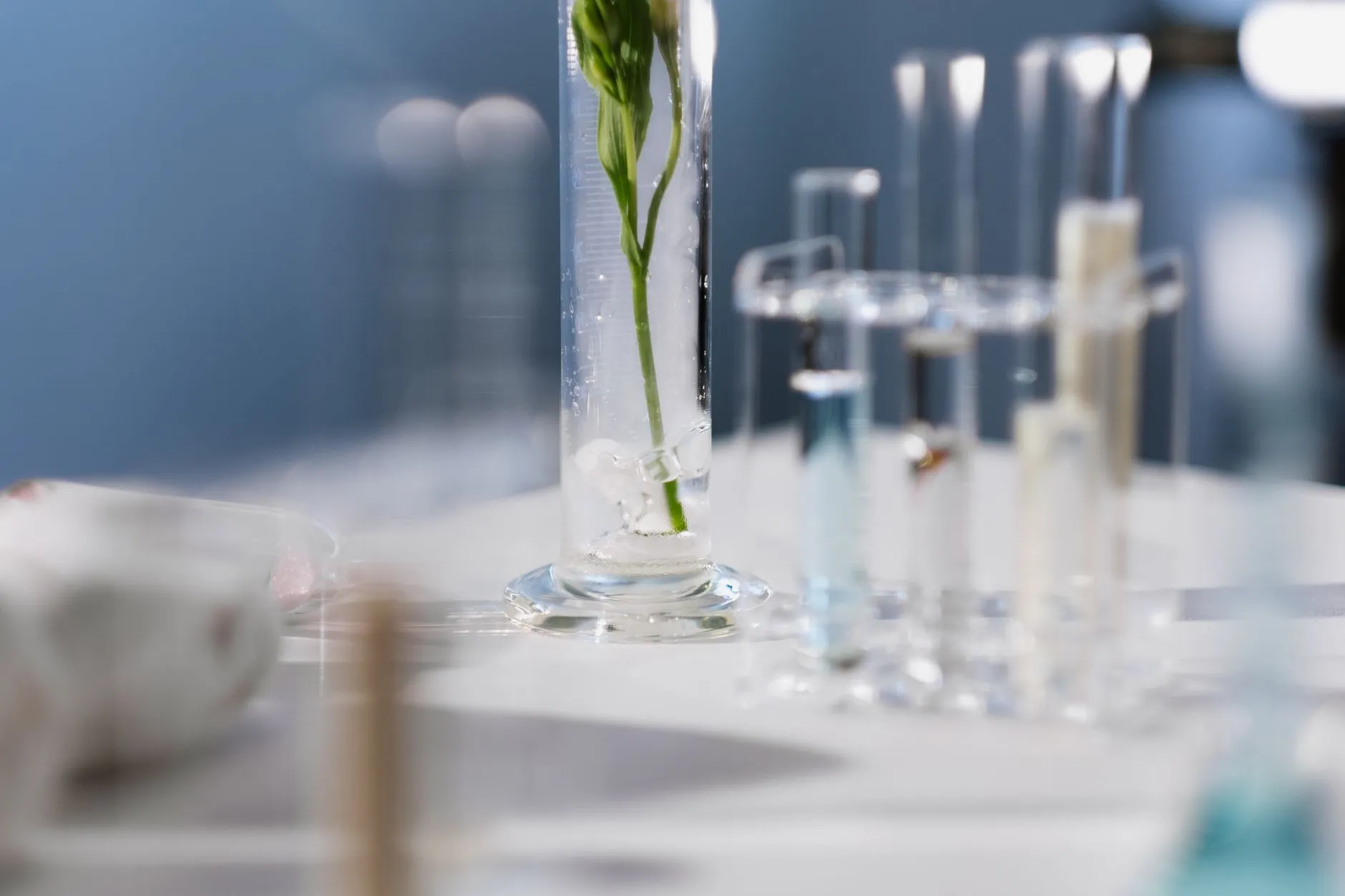 2025年食堂托管行业绩效薪酬体系设计与人员管理创新实践