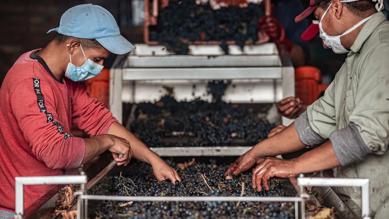 2025年企事业单位食堂托管服务标准与后厨承包合规要点解析