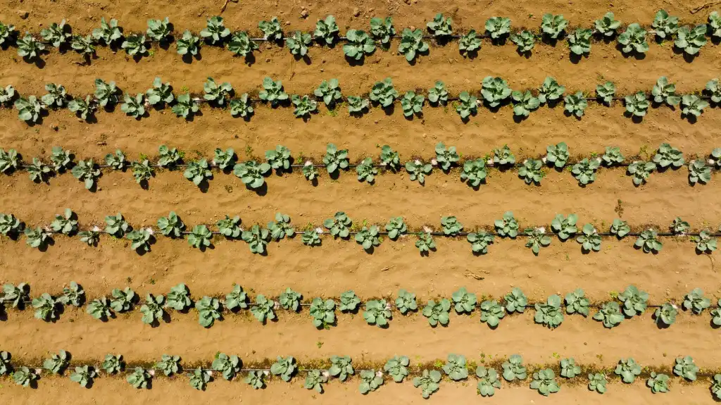 企事业单位食堂托管方案：后厨承包与人员绩效考核体系设计
