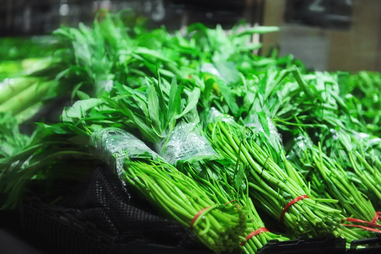 上海立分食堂托管服务：后厨承包与绩效考核一体化方案解析