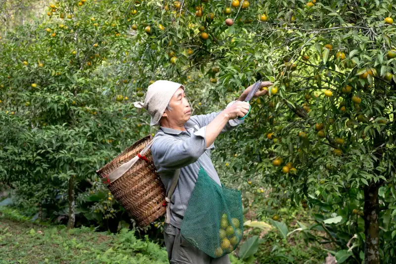 2025企事业单位食堂托管服务标准升级要点解读
