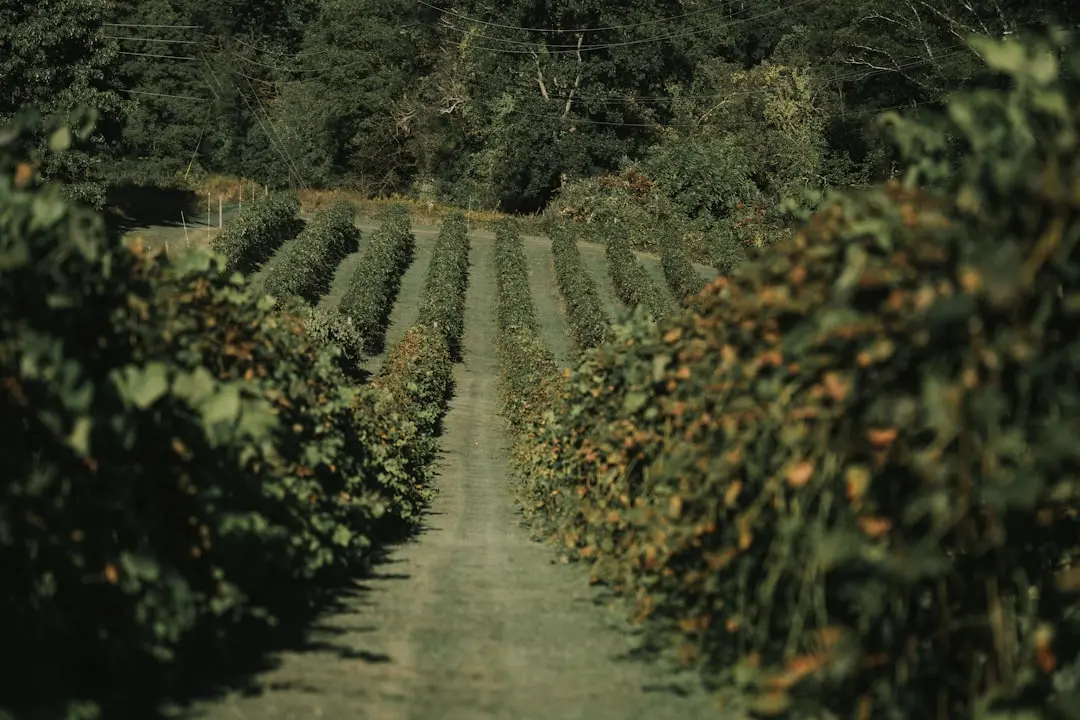 2025年企事业单位食堂托管政策新规解读与合规要点分析